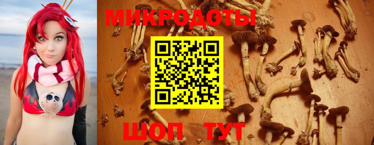 Галлюциногенные грибы MAGIC MUSHROOMS Соль-Илецк