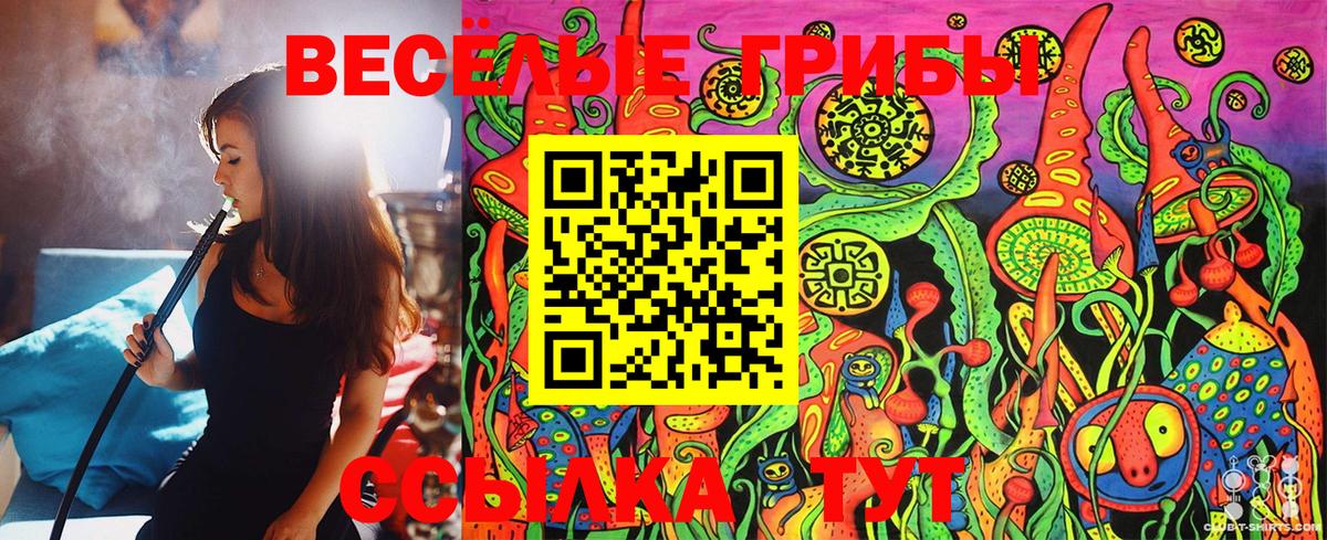 Галлюциногенные грибы MAGIC MUSHROOMS  Галлюциногенные грибы MAGIC MUSHROOMS  Соль-Илецк  Вход с VPN 